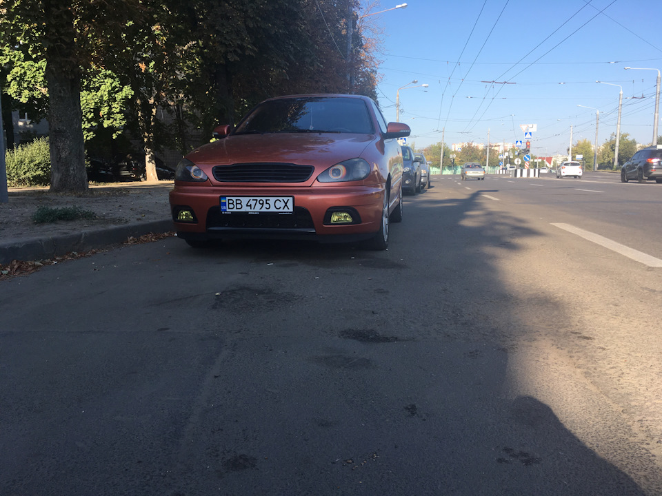 Ніби я єгиптянин... 5