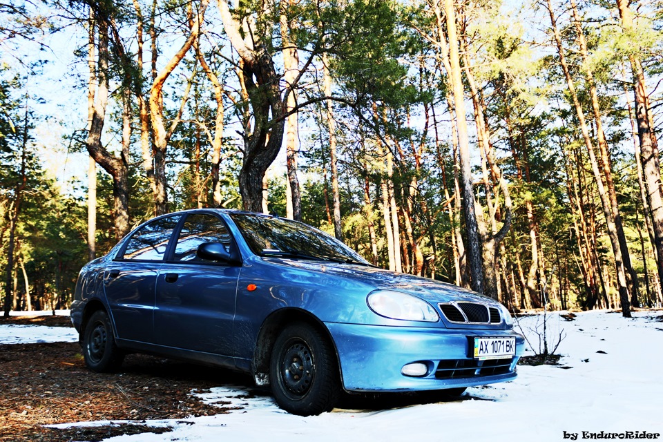 Не багато свіжих фотографій машини та природи:) 1
