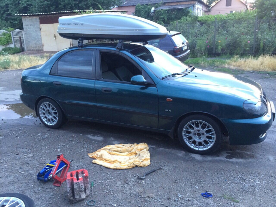 Тапки 1