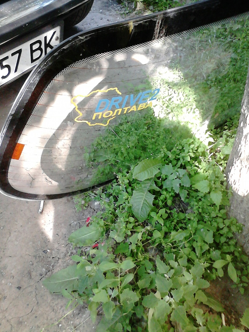 Прощавай, акваріум! 2