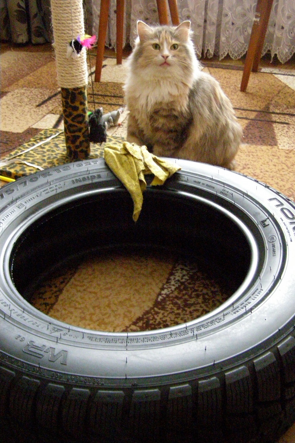 новини з полів. 3