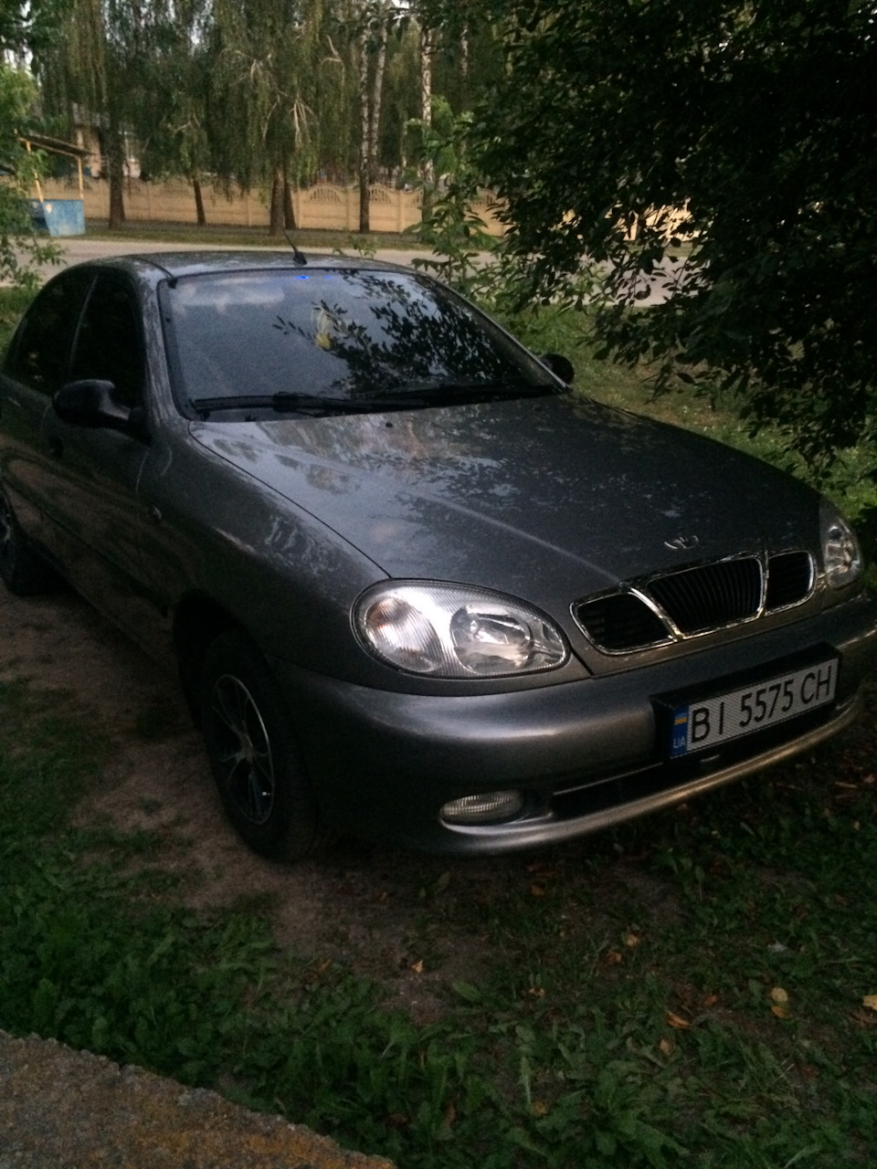 Сітка на номер 1