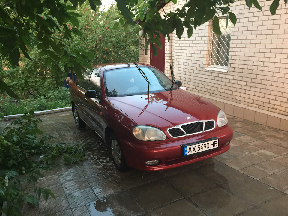 Мийка та поїздка до села 3