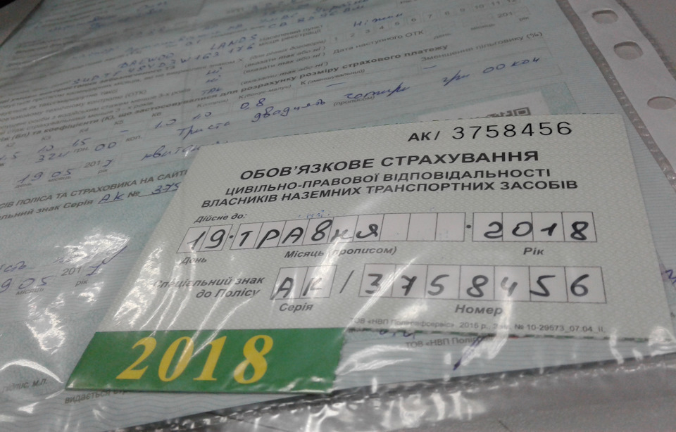 Крокодільчик у Провідна . Береженого Бог береже! ☝ 1
