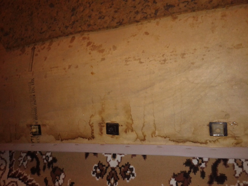 помила стеля 4
