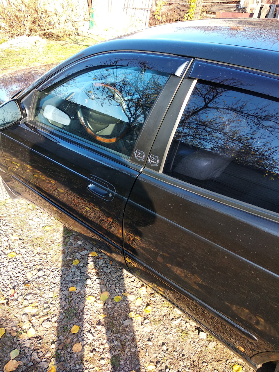 Нові няшки 3
