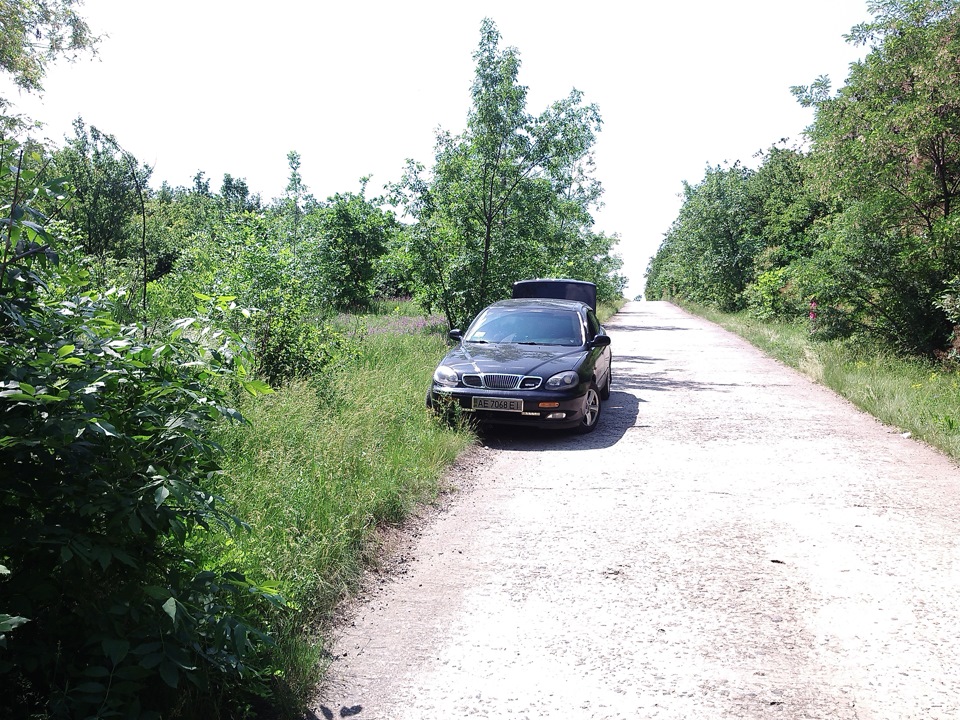 Готуй сани влітку, або в ліс за віниками) 2