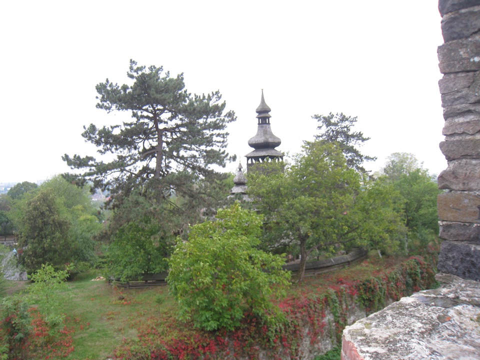 Карпати! Ужгород 5