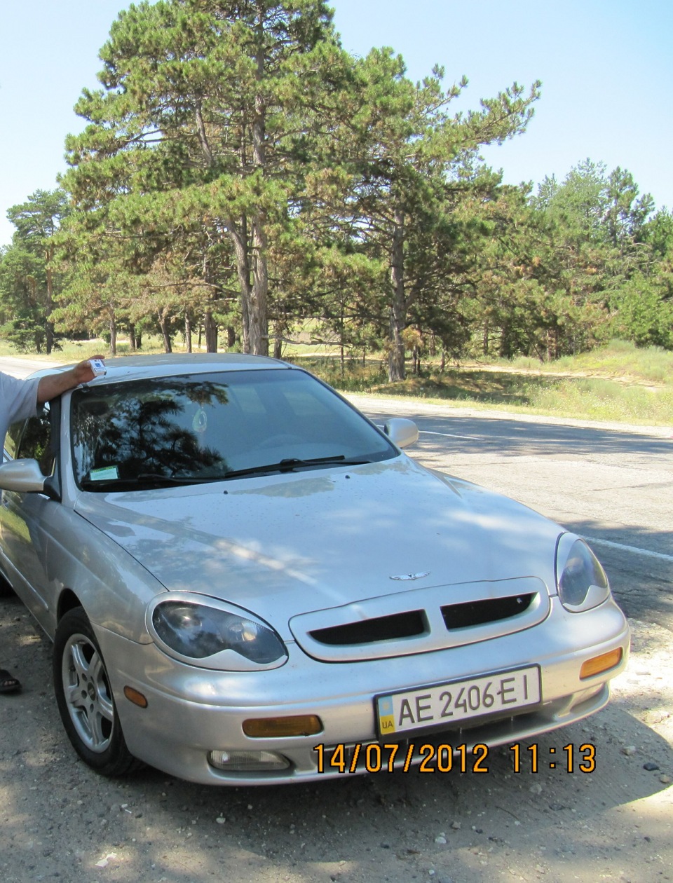 Сосновий ліс 4