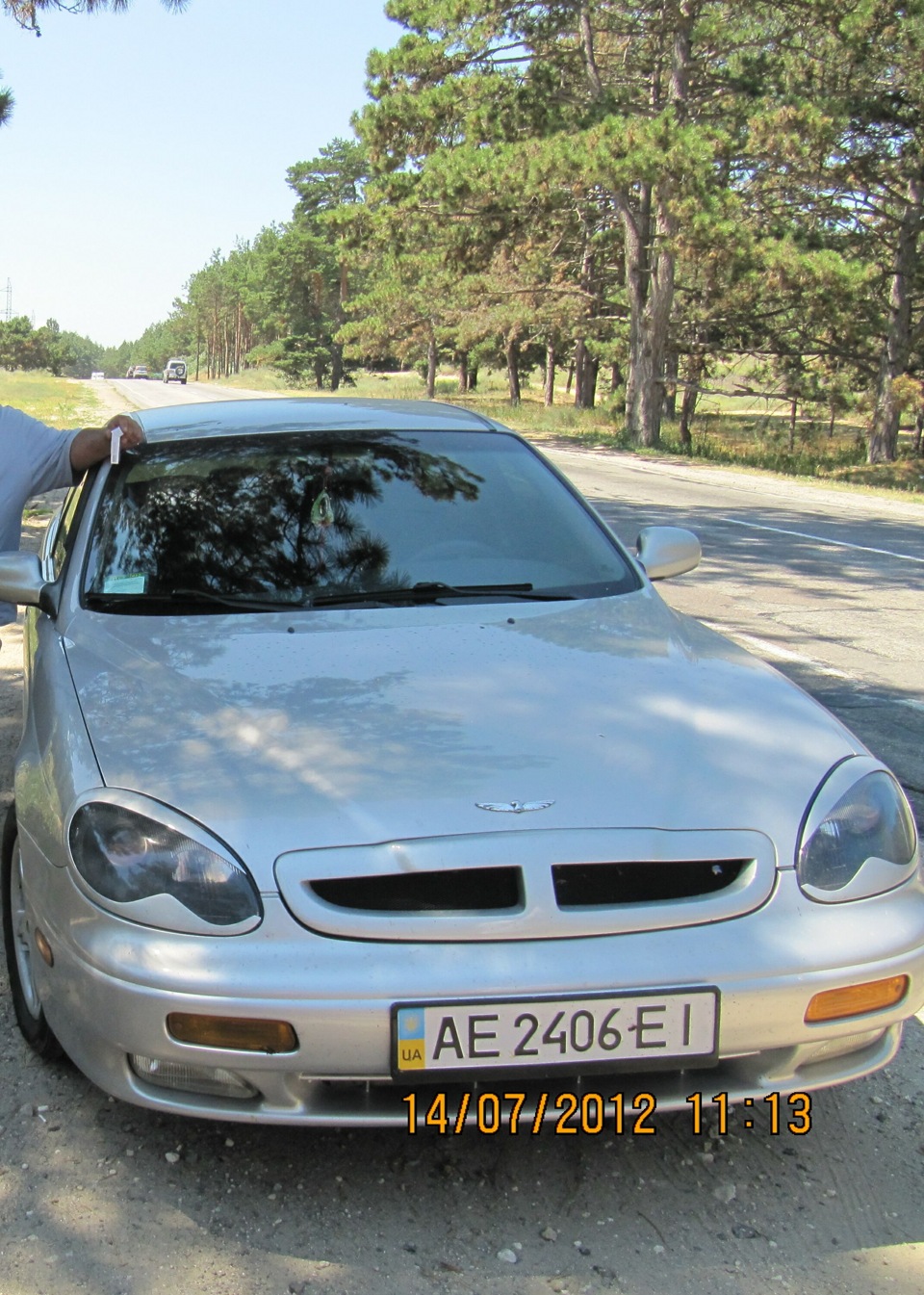 Сосновий ліс 3