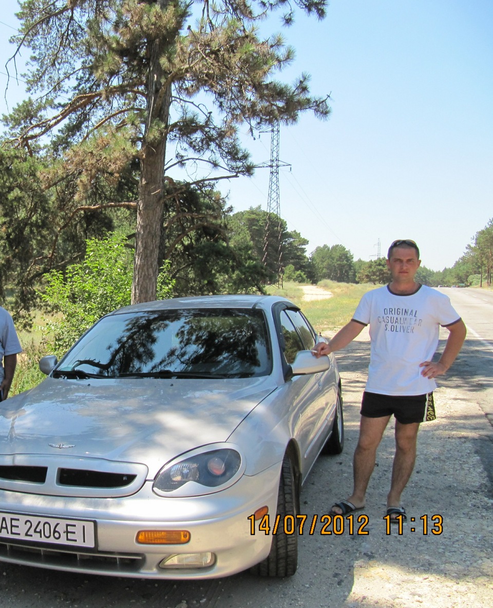 Сосновий ліс 1