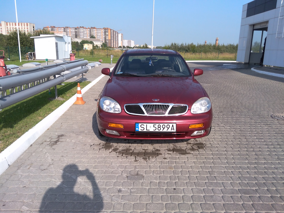 Польська Leganza, під донора) 4