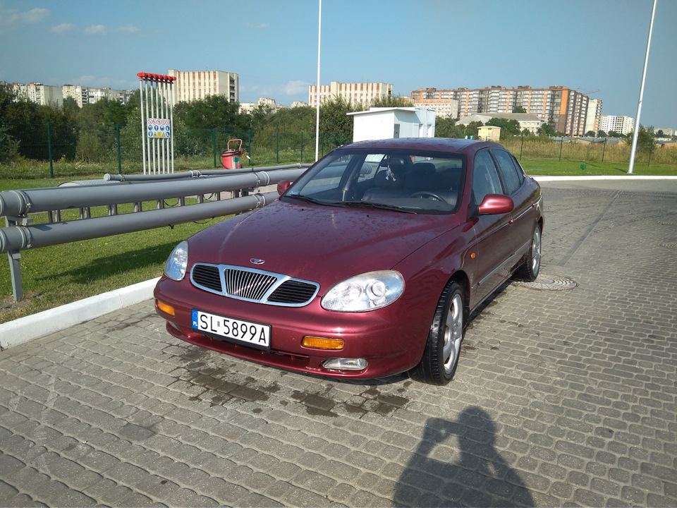 Польська Leganza, під донора) 5
