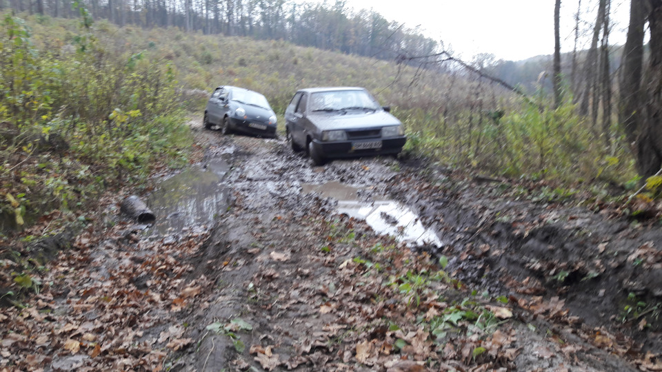 Поїздка за грибами No comments . Some photos 2