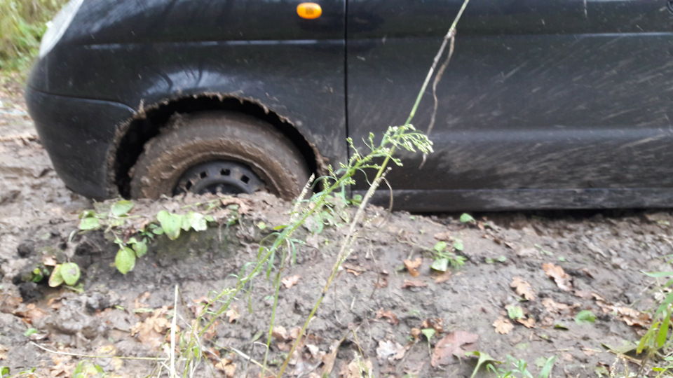 Поїздка за грибами No comments . Some photos 3