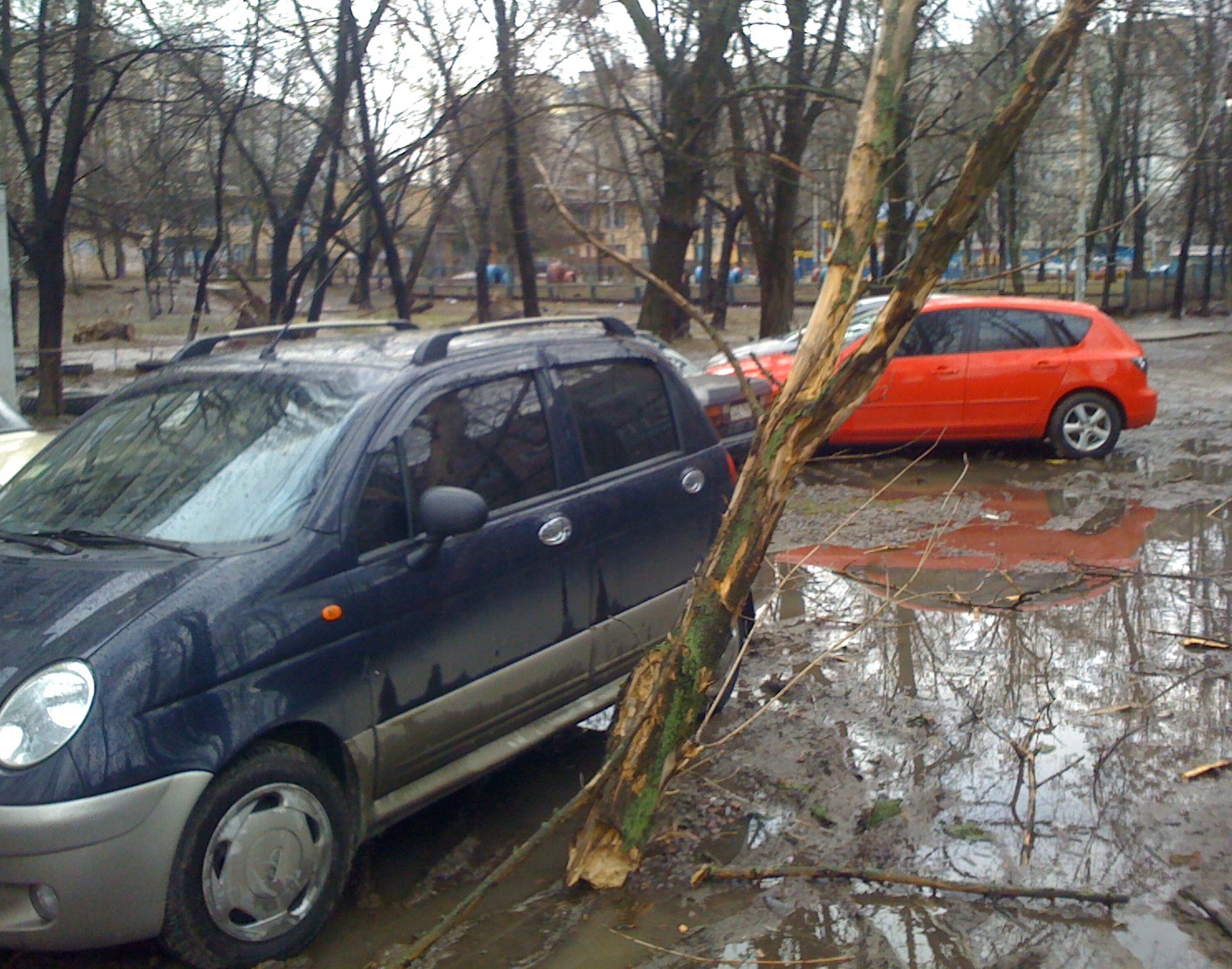 Пощастило не те слово! :) 3