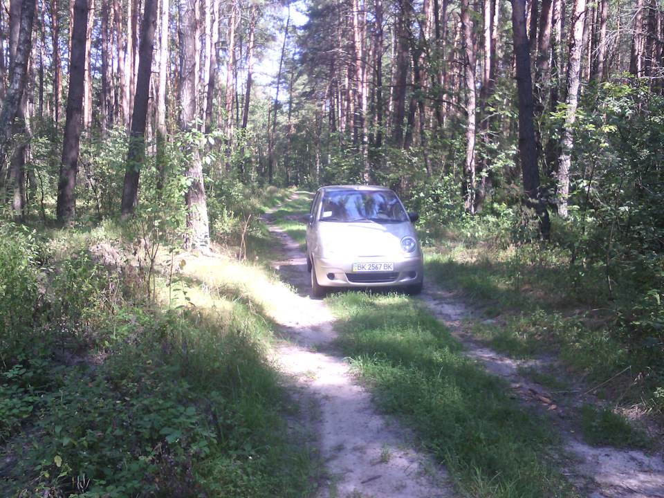 42. Просто пару фоток) 1