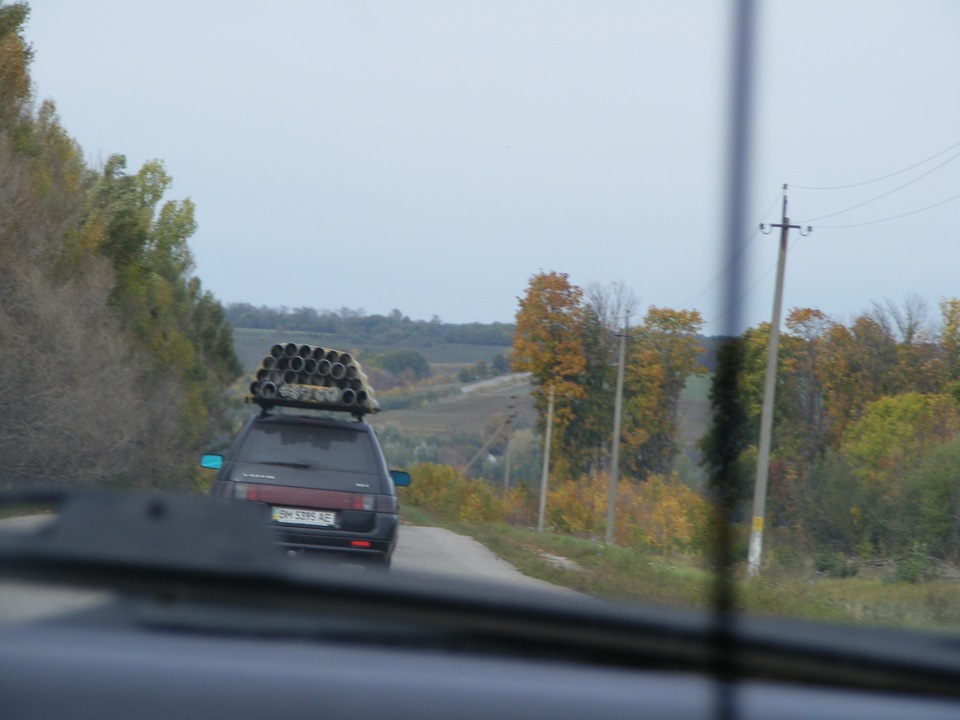 Покотушки в Шарівку 1