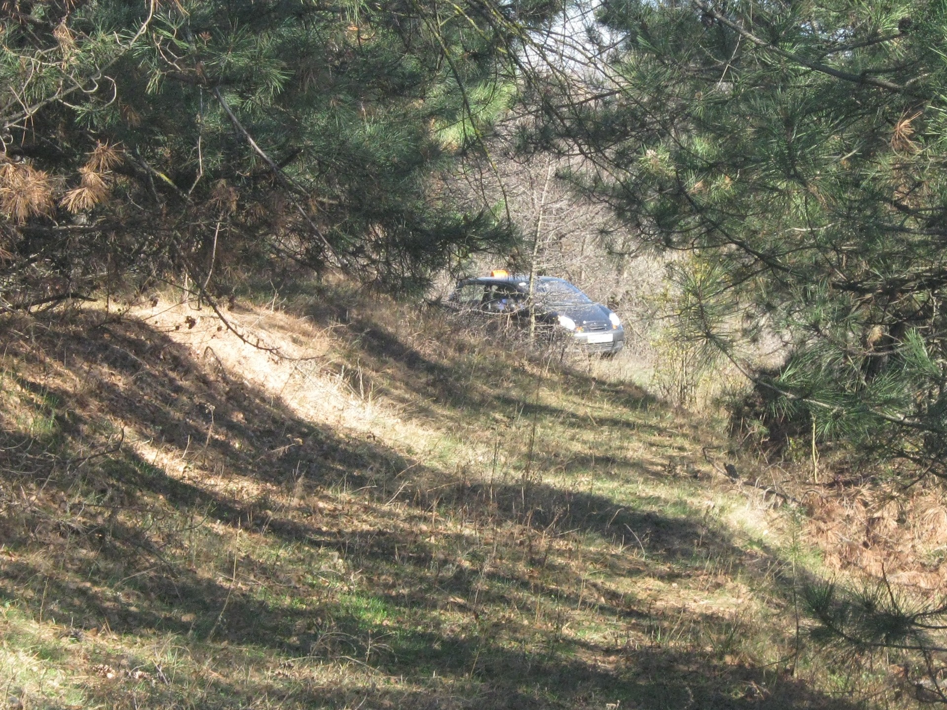 Лістопадня фотосесія… 4