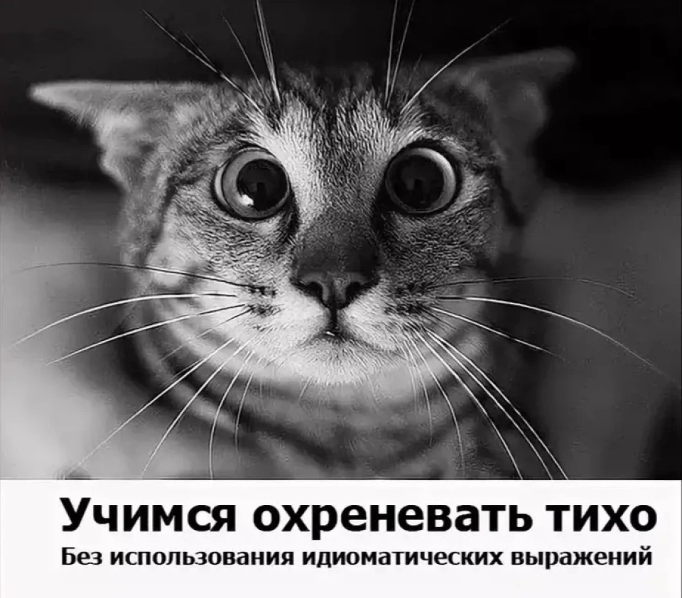 Стійки. СЧ і ВЧ остаточне встановлення.