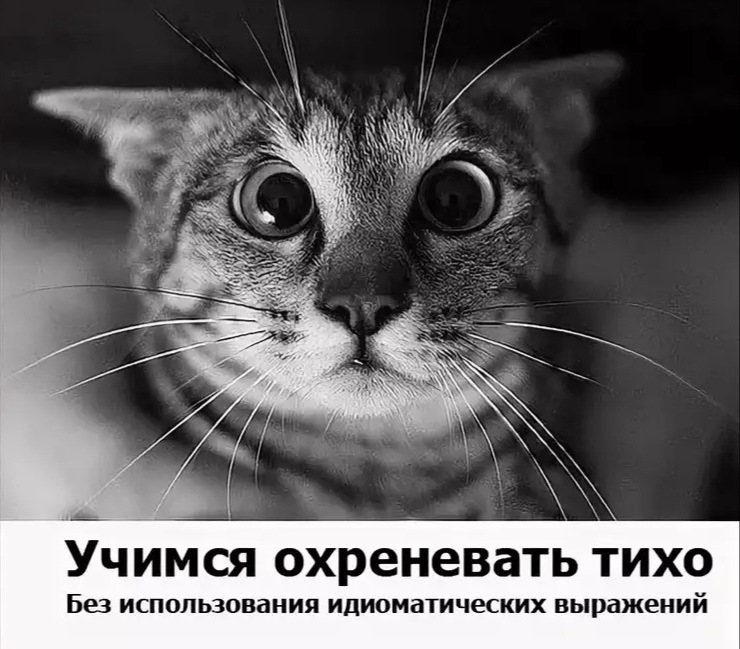 Стійки. СЧ і ВЧ остаточне встановлення. 1