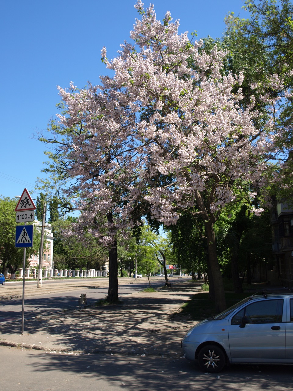 Довгоочікувана весна ч.2 1