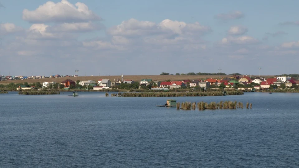 Прогулянка вихідного дня