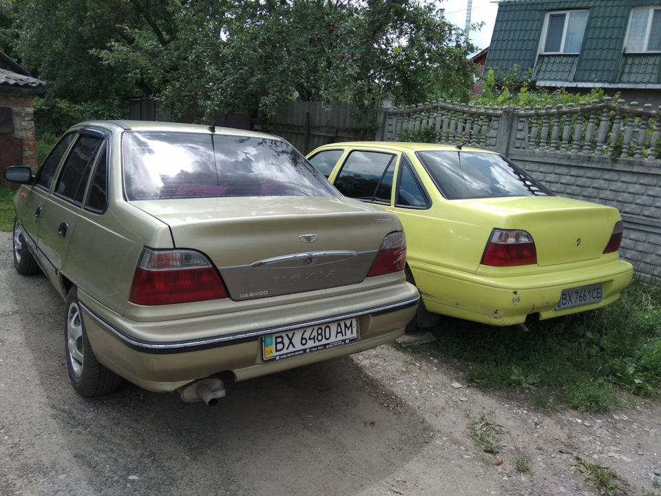 моя і кума нексії 2