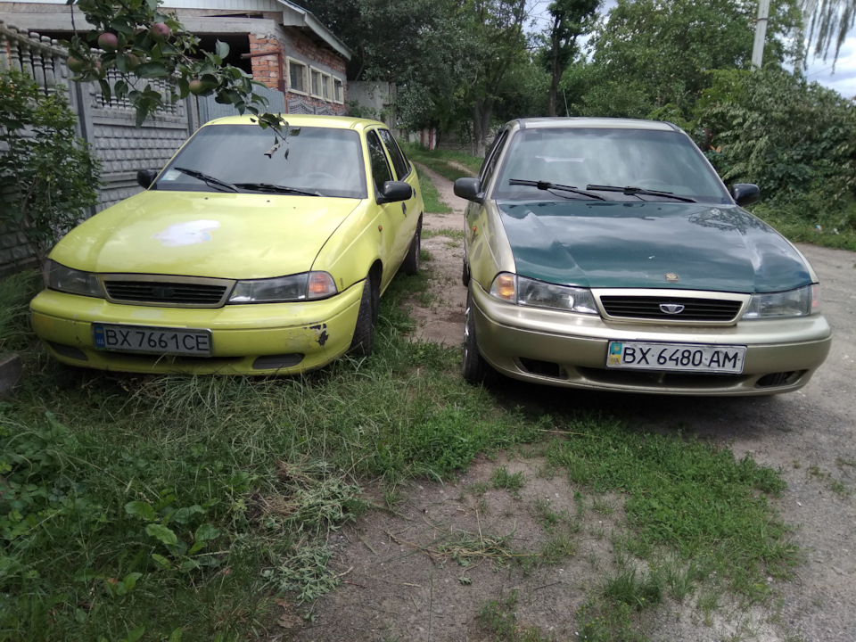 моя і кума нексії 3