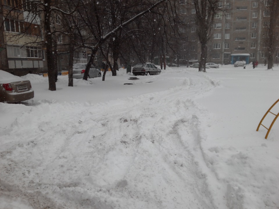 Зима з шинами Cordiant Polar SL 5
