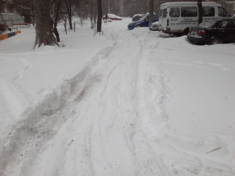 Зима з шинами Cordiant Polar SL 2