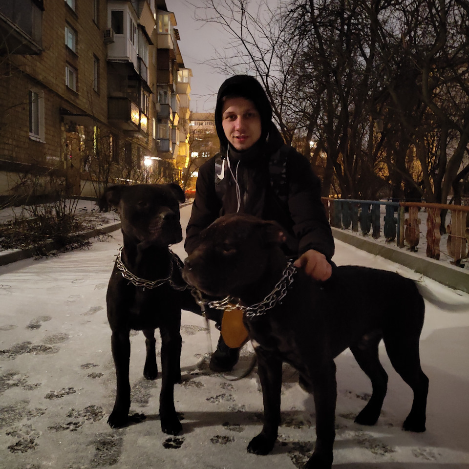Приїхали наклейки) 1