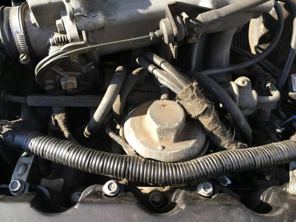 Заглушив EGR