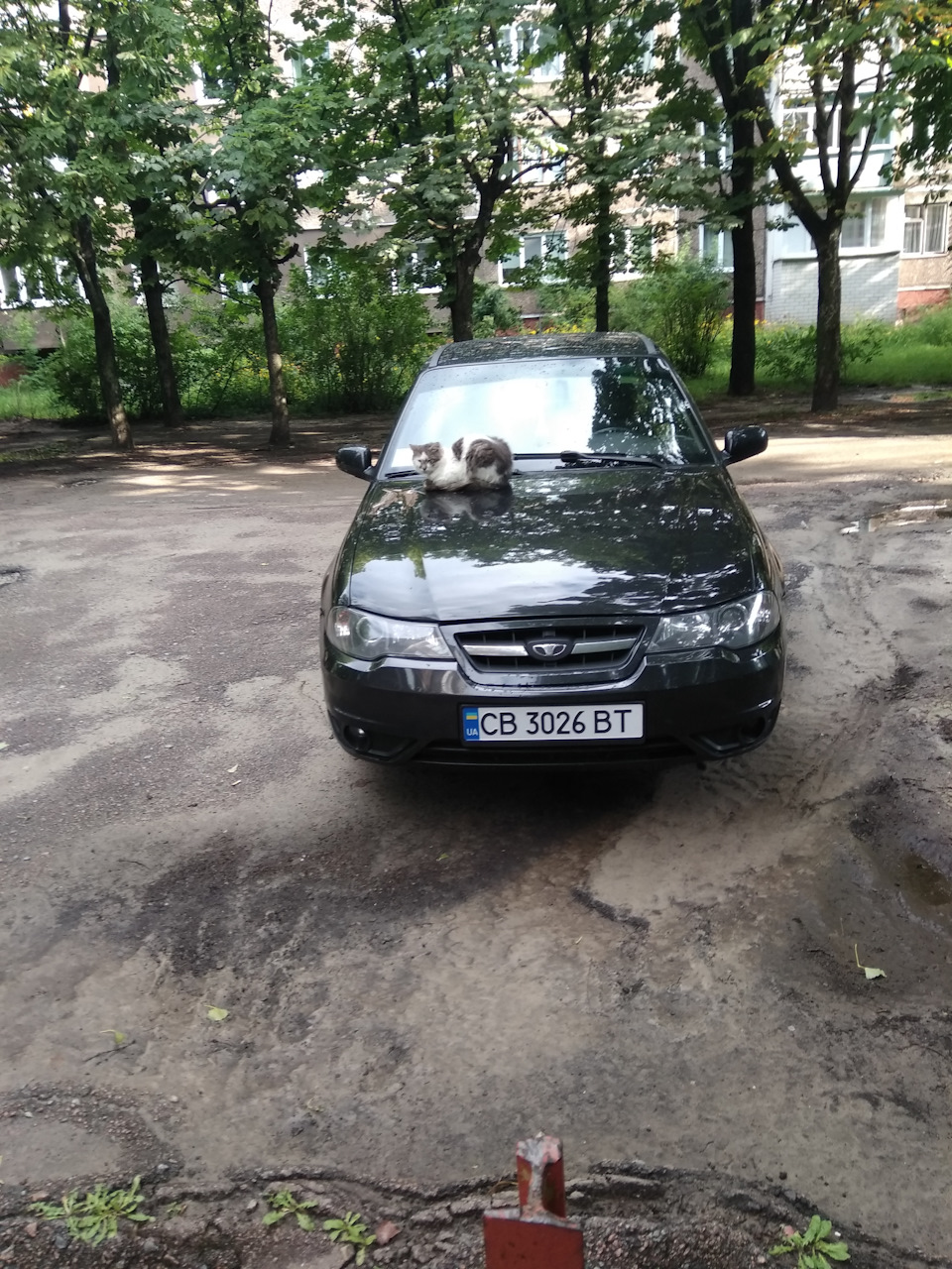 Перша дальня подорож 3