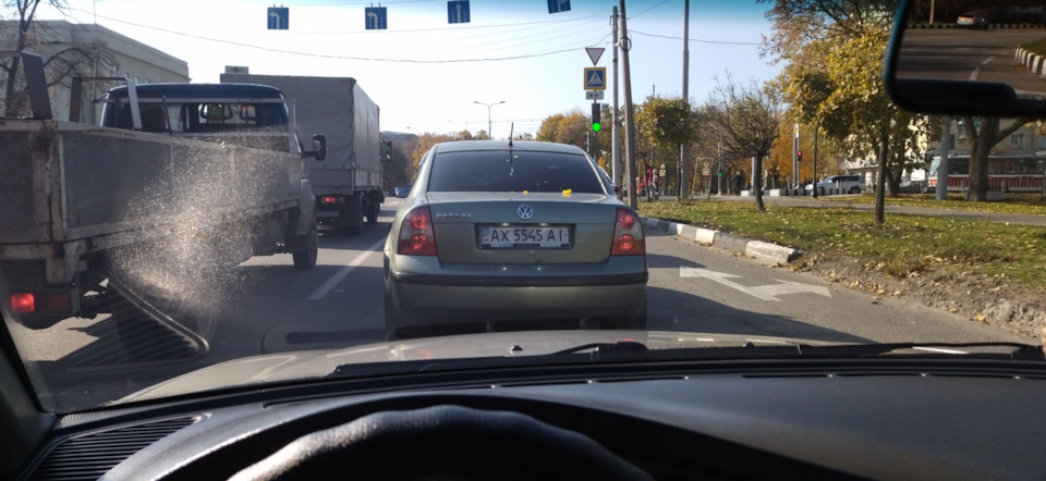 Тонування лобаша 4