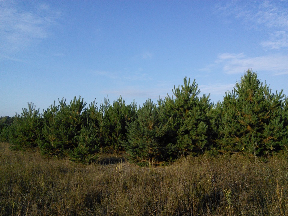 Фотосесія №1 5