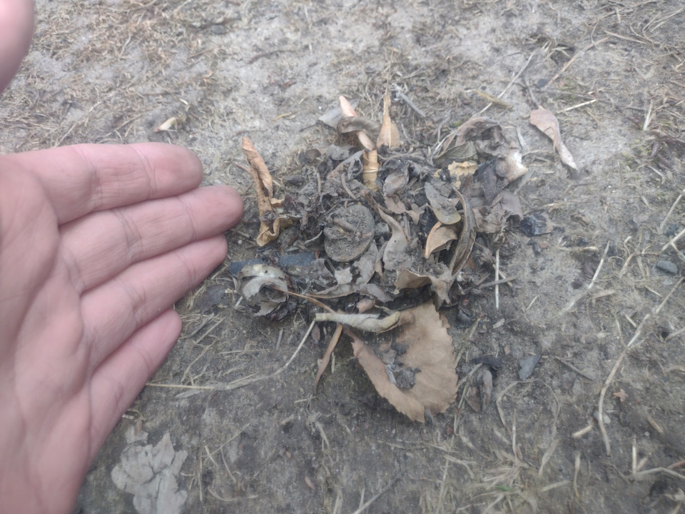 Підняв повітрозабірник пічки 3