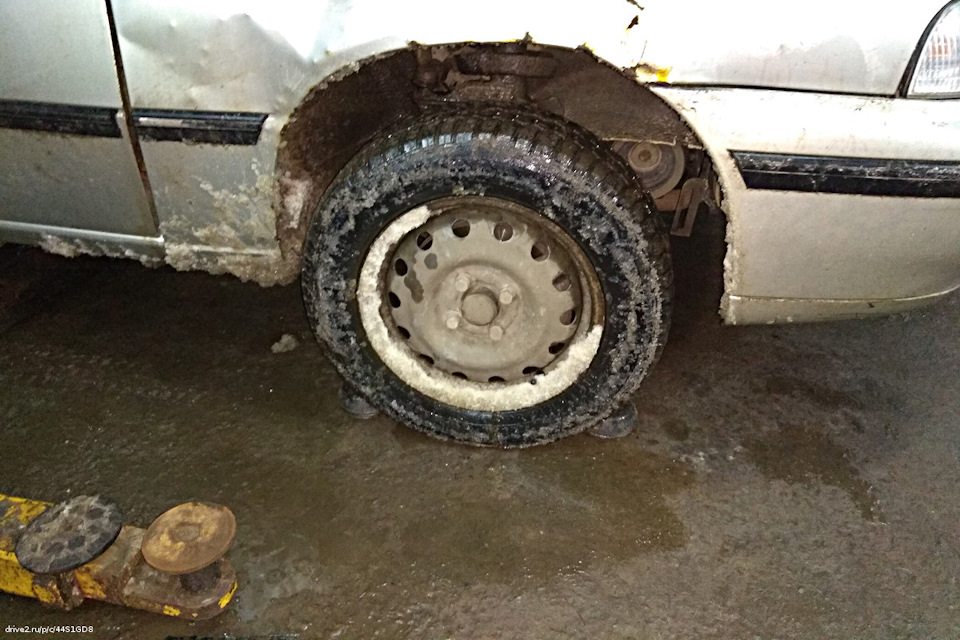 Підкрилки в передні арки 2