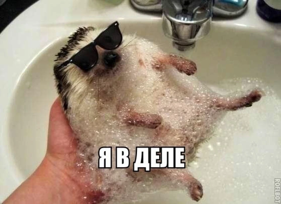 Моє перше ТО і відразу проблеми…