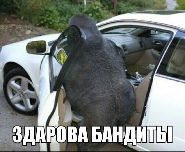 LED 10W у задній хід 1