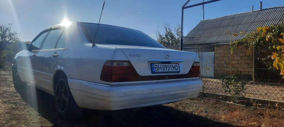 Новий звір 2