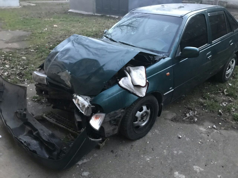 Нове звірятко 4