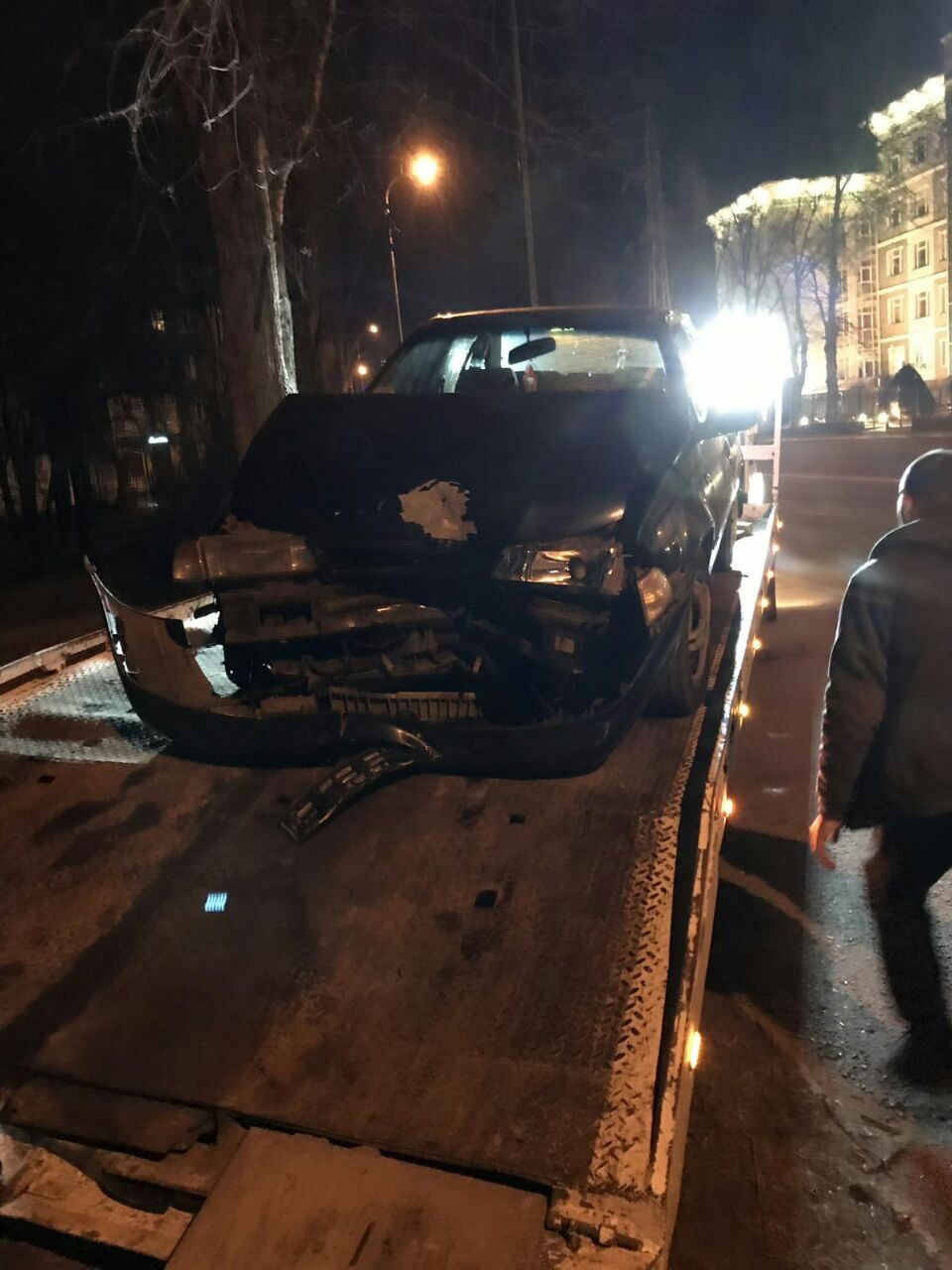 Нове звірятко 2