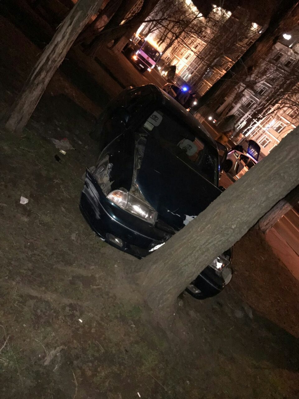 Нове звірятко 3
