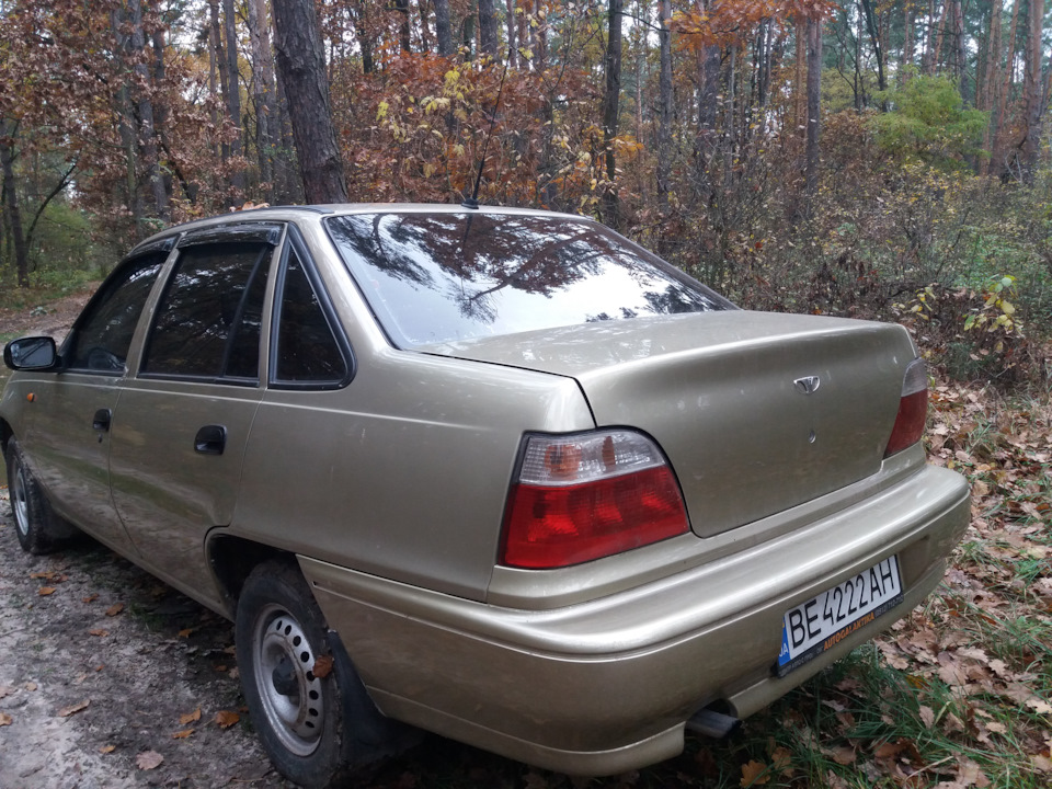 Туга осіннього лісу... 3