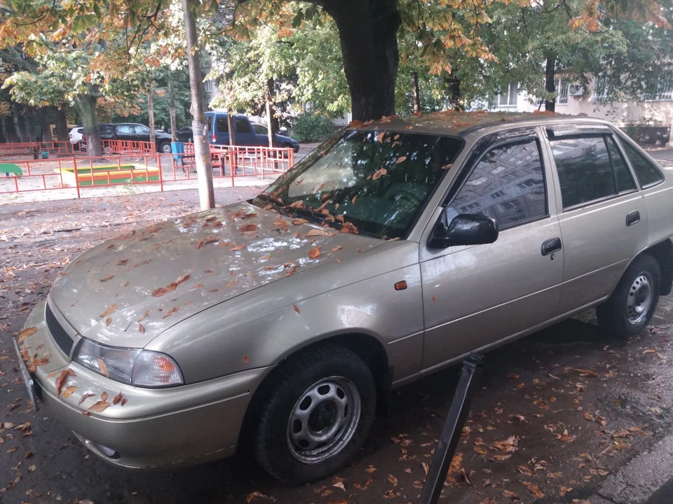 золота осінь...
