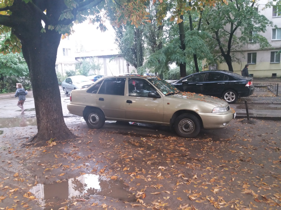золота осінь... 3