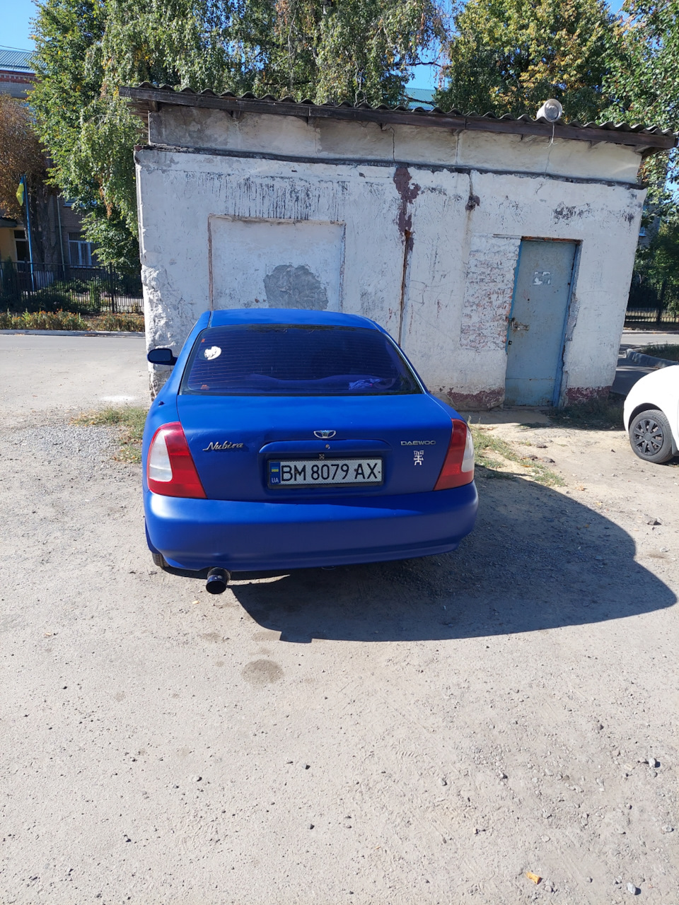 Перше миття після фарбування 2
