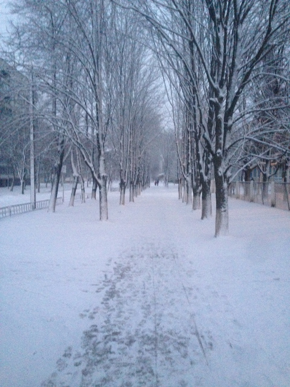 місяць березня 2