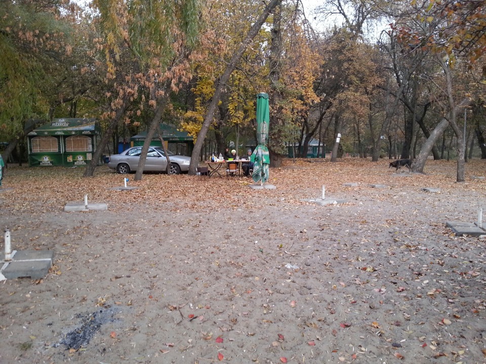 День автомобіліста 5